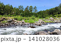 Scenic view of a fast-flowing rocky river in Songgon, Banyuwangi, Indonesia. Lush green pine forest and a clear blue sky in the background. Beautiful, fresh nature landscape on a sunny day. 141028036