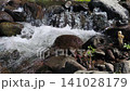 Close-up of a clear mountain stream flowing rapidly over dark rocks in Songgon, Banyuwangi, Indonesia. Splashing white water cascading through stones, creating a fresh and peaceful natural background. 141028179
