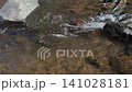 Close-up of a clear mountain stream flowing rapidly over dark rocks in Songgon, Banyuwangi, Indonesia. Splashing white water cascading through stones, creating a fresh and peaceful natural background. 141028181
