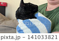 Black cat hiding in towel after washing, black oriental cat hiding in towel. 4K video, 4k footage 141033821