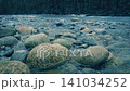 Rocky River In The Forest Moving Shot 141034252