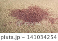Police Photograph Blood Stain On Carpet 141034254