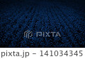 Corn Field In The Moonlight Aerial Shot 141034345