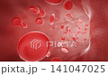 Blood flows through vessels as red blood cells travel in a steady stream, carrying oxygen and nutrients. 3D animation of cardiovascular circulation and cellular transport. 141047025