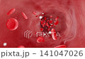Microscopic view of flowing blood: erythrocytes, leukocytes, and platelets moving through the vascular network. 3D medical animation of hematological circulation. 141047026