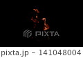 A Captivating Fire in the Deep Darkness Bringing Warmth and Light to the Night Air A Captivating Fire in the Deep Darkness Bringing Warmth and Light to the Night Air 141048004