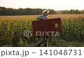 Caucasian man carries wooden board for cornhole game along cornfield. Farmer at sunset sets up parts for dexterity game for relaxation. 141048731