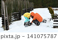 Adult helps child fasten snowboard boots. Snowy winter scene. 141075787