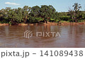Olifants river in Greater Kruger National park, South Africa 141089438