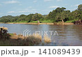 Olifants river in Greater Kruger National park, South Africa 141089439