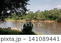 Olifants river in Greater Kruger National park, South Africa 141089441