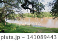 Olifants river in Greater Kruger National park, South Africa 141089443