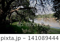 Olifants river in Greater Kruger National park, South Africa 141089444