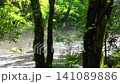Kikuchi Valley is cool even in summer 141089886