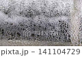 Water blowing 141104729