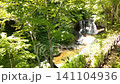 Peace Waterfall in early summer 141104936