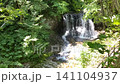 Peace Waterfall in early summer 141104937