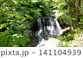 Peace Waterfall in early summer 141104939