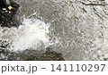 Rapid flow of white frothy river water among river stones. 141110297