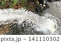 Fast movement of a clear river water stream over rocks. 141110302