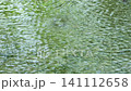 Fixed-camera shot of the water surface creating ripples from falling spray. 141112658