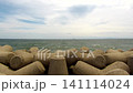 Looking at the sea from behind the tetrapods 141114024