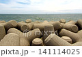 Looking at the sea from behind the tetrapods 141114025