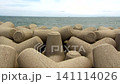 Looking at the sea from behind the tetrapods 141114026