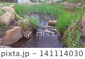 A small pond with clear water 141114030