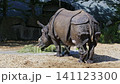 The Indian Rhinoceros, Rhinoceros unicornis is also called Greater One-horned Rhinoceros and Asian One-horned Rhinoceros and belongs to the Rhinocerotidae family. 141123300