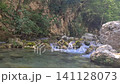 Waterfall Capelli di Venere, small mountainside cascade surrounded by vegetation, close to a ruined mill, Casaletto Spartano, Province of Salerno, Italy 141128073