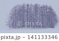 Hokkaido: The Mild Seven Tree in Winter 141133346