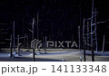 Hokkaido Biei Blue Pond Illumination 141133348