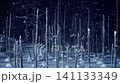 Hokkaido Biei Blue Pond Illumination 141133349