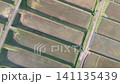The "Arai Rice Terraces" in Ine, Kyoto: A beautiful geometric pattern of terraced fields viewed from directly above, and drone aerial footage moving towards the mountains. 141135439