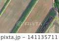The "Arai Rice Terraces" in Ine, Kyoto, as you slowly ascend, capturing the beautiful geometric patterns of the terraced fields viewed from directly above... 141135711