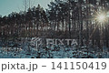 winter landscape pine forest covered in snow. Bright sunlight pierces through the tall tree trunks, creating a magical and peaceful cold morning atmosphere winter landscape pine forest covered in snow. Bright sunlight pierces through the tall tree trunks, creating a magical and peaceful cold morning atmosphere 141150419