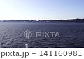 桜島からフェリーで移動 141160981