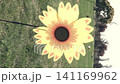 A colorful, handmade flower swirling and moving in the wind, alongside flowers in a green field. A tribute to respect and affection. Outdoors, with plenty of natural light. 141169962