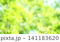 一幅清新的深綠色夏日圖片：抽象綠色背景 141183620