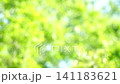 一幅清新的深綠色夏日圖片：抽象綠色背景 141183621
