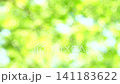 一幅清新的深綠色夏日圖片：抽象綠色背景 141183622
