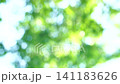 一幅清新的深綠色夏日圖片：抽象綠色背景 141183626
