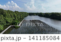 An aerial top-down perspective showcases a lush mangrove forest with clusters of dense green trees surrounded by calm, dark water, highlighting a thriving coastal ecosystem in a tropical region. 141185084