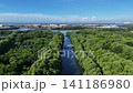 An aerial top-down perspective showcases a lush mangrove forest with clusters of dense green trees surrounded by calm, dark water, highlighting a thriving coastal ecosystem in a tropical region. 141186980
