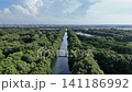 An aerial top-down perspective showcases a lush mangrove forest with clusters of dense green trees surrounded by calm, dark water, highlighting a thriving coastal ecosystem in a tropical region. 141186992