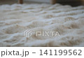 Soft beige rug adds warmth to cozy living room space 141199562