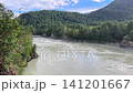 Wide panning shot showcasing the powerful flow of the Katun mountain river winding through rocky shores and dense green pine forests in the Altai Mountains, Siberia, Russia, 4k. 141201667