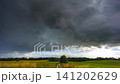 Storm clouds moving in a Timelapse. Summer storm with cumulus clouds and rain 141202629
