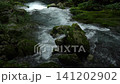 芹川的源頭，夏季的河內谷。 141202902